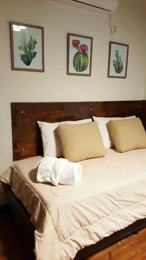 サルタEl Cardon - P/6 Pax -2 Dorm - Amplio Y Modernoアパートメント エクステリア 写真